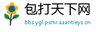 包打天下网